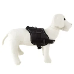 Flamingo Peitoral acolchoado preto para cães