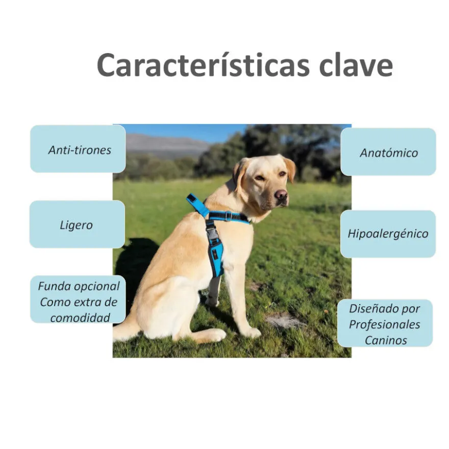 Freedom and Color Anti-pull Harness Preto para cães