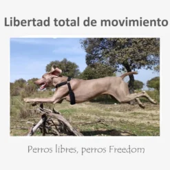 Freedom and Color Arnês Anti-puxar Vermelha para cães