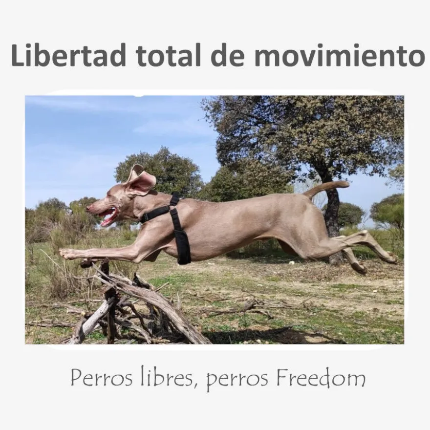 Freedom and Color Arnês Anti-puxar Vermelha para cães