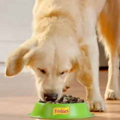 Friskies Frango em molho comida húmida para cão