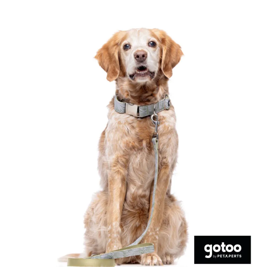 Gotoo Coleira com estampa de flores para cães