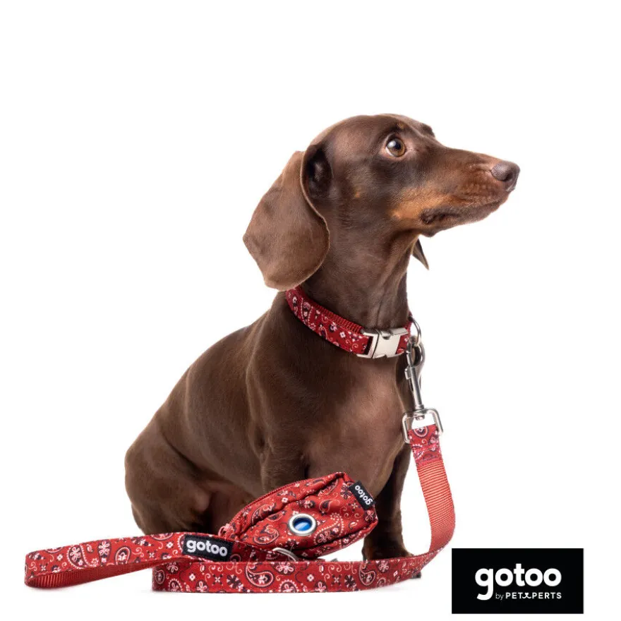 Gotoo Coleira estampada vermelha para cães