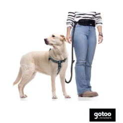Gotoo peitoral estampado verde para cães