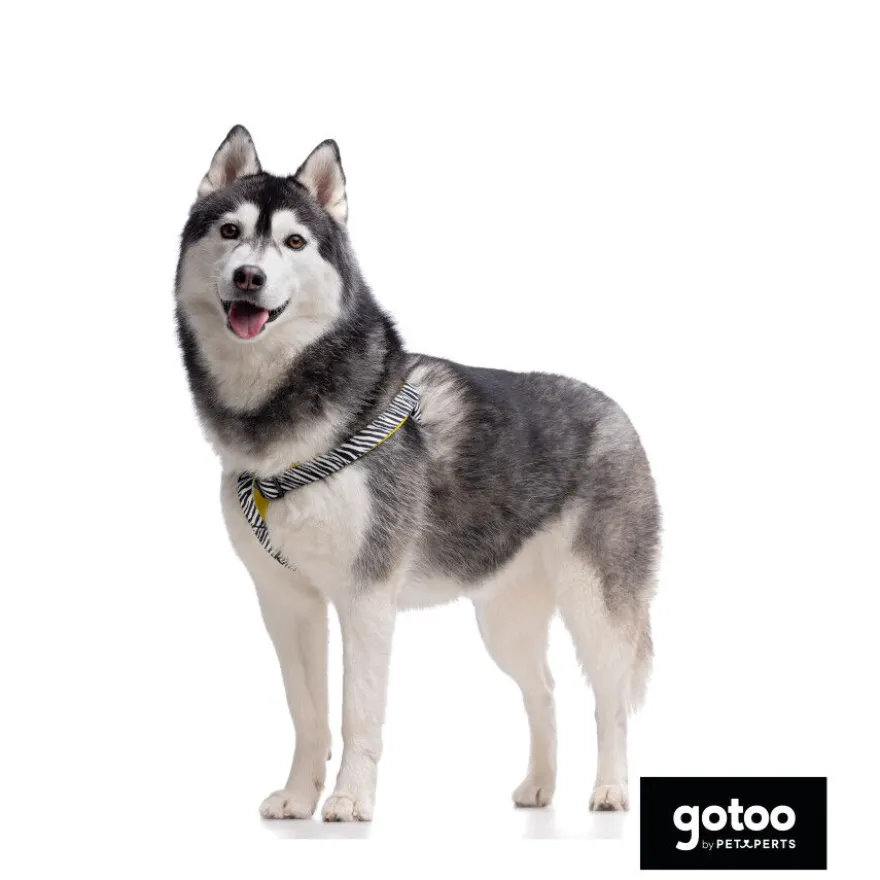Gotoo Peitoral estampado zebra para cães