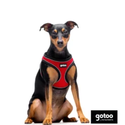 Gotoo Peitoral mesh vermelho refletor para cães