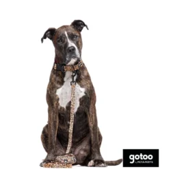 Gotoo Trela estampada leopardo castanha para cães