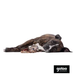 Gotoo Trela estampada leopardo castanha para cães