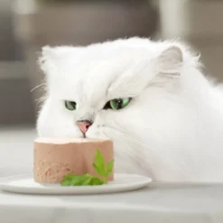 Gourmet Gold Mousse de Peixe do Oceano em lata para gatos