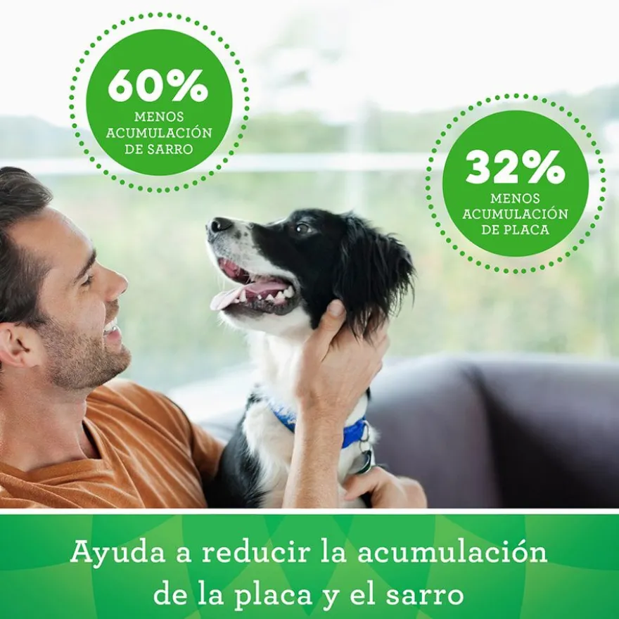 Greenies Snacks Dentários Natural para Cães Pequenos