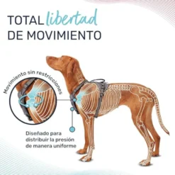 Halti Peitoral Anatómico Cinza para cães pequenos