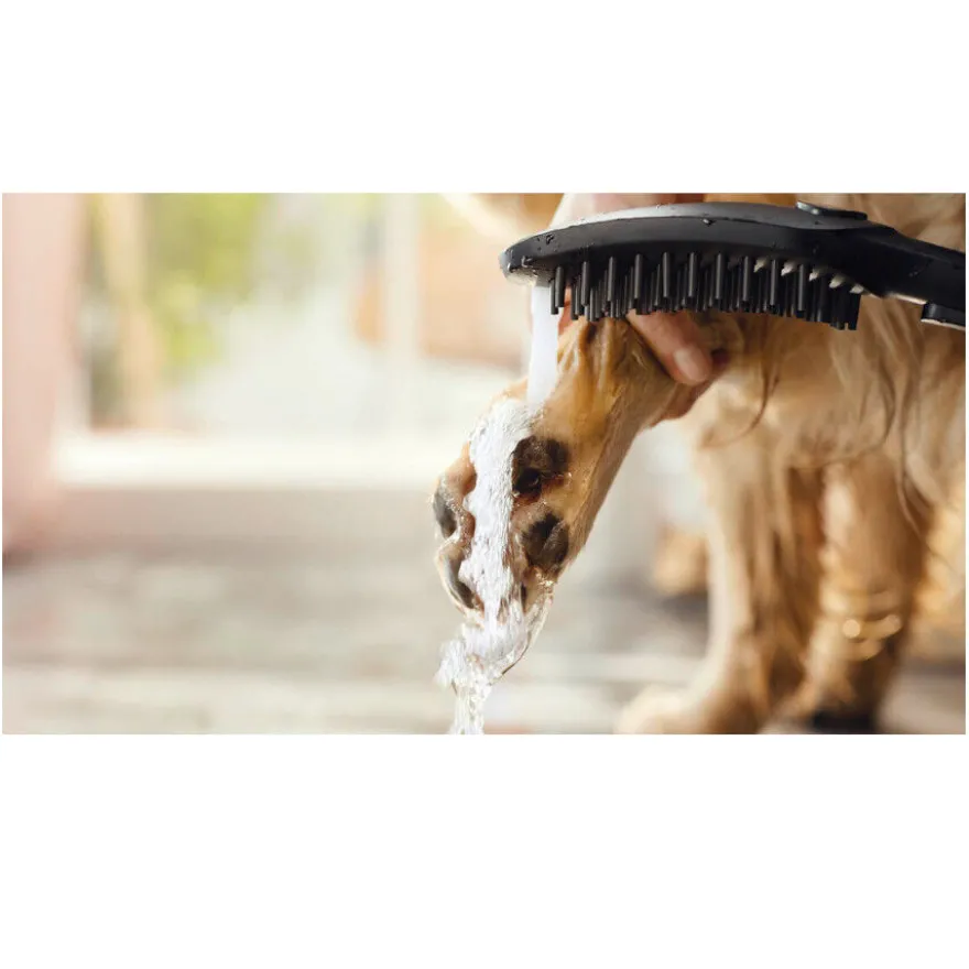Hansgrohe Chuveiro Preto para cães