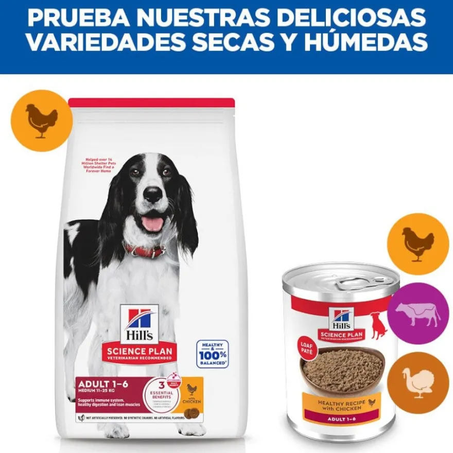 Hill's Adult Lata sabor frango