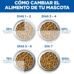 Hill's Kitten Science Plan Sterilized Frango ração