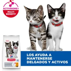 Hill's Kitten Science Plan Sterilized Frango ração