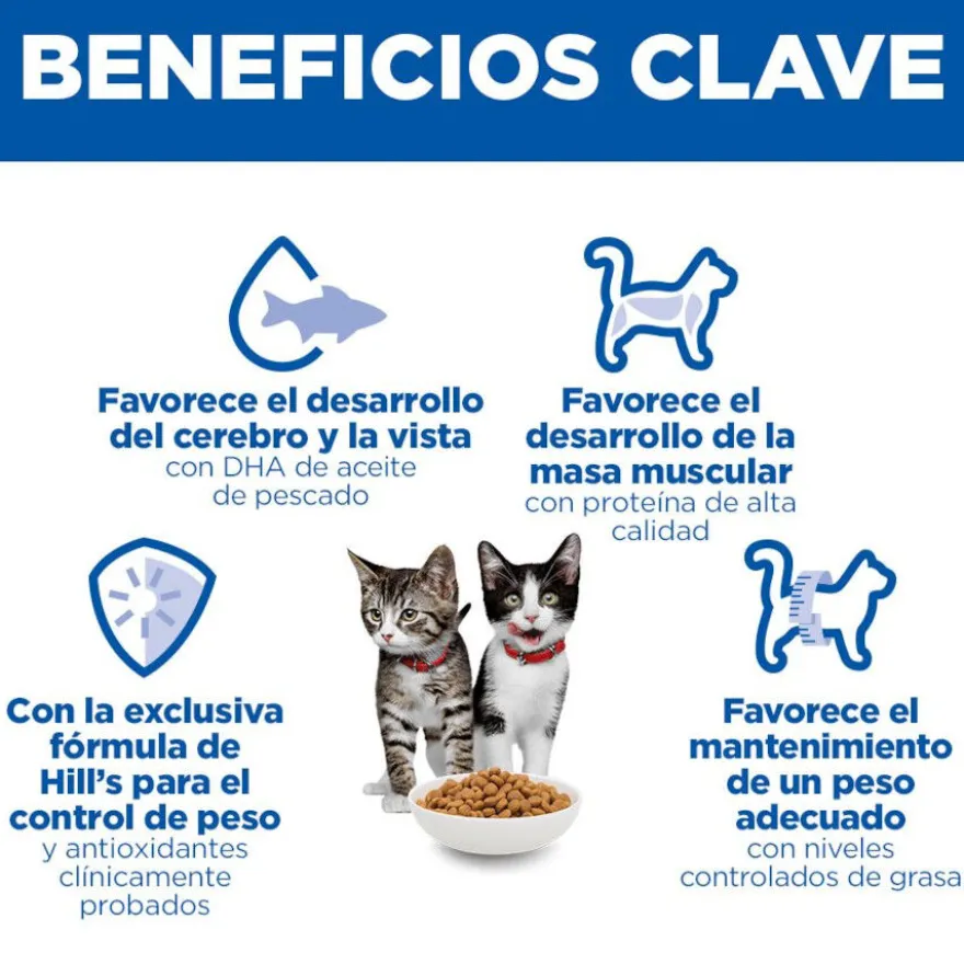 Hill's Kitten Science Plan Sterilized Frango ração