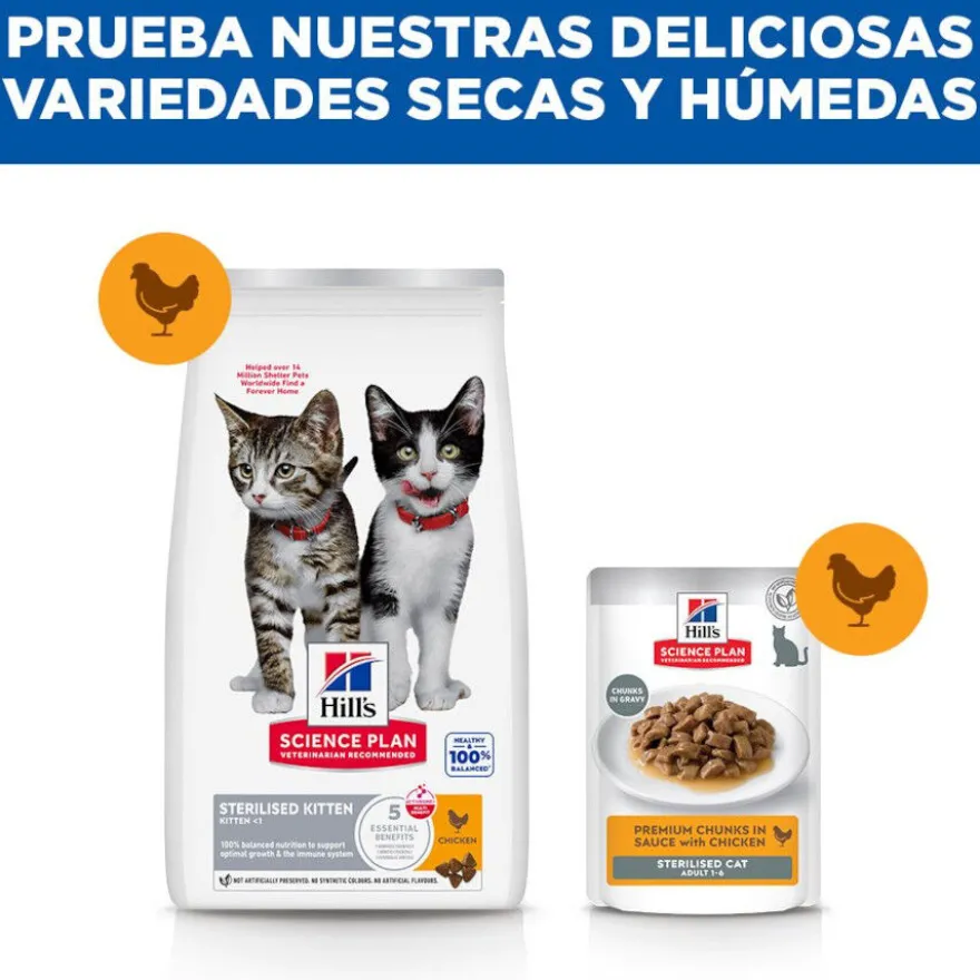 Hill's Kitten Science Plan Sterilized Frango ração