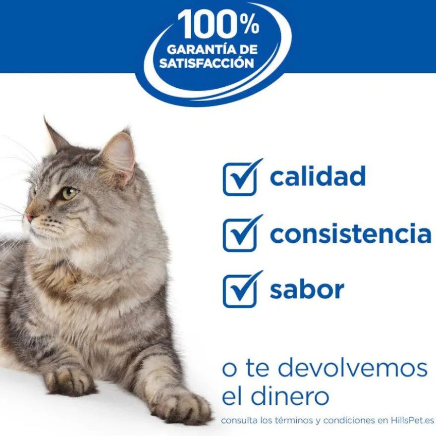Hill's Kitten Science Plan Sterilized Frango ração