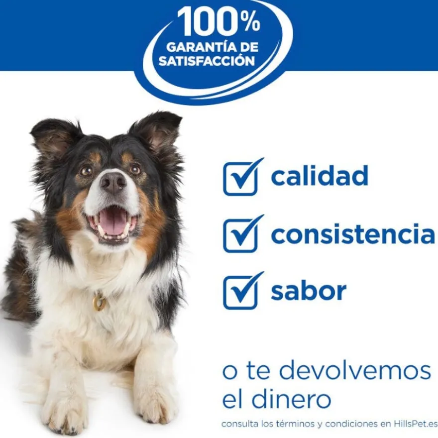 Hill's Large Adult Science Plan Perfect Digestion Frango ração para cães