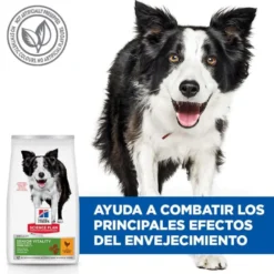 Hill's Medium Adult Science Plan Youthful Vitality Frango ração para cães
