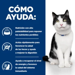 Hill's Prescription Diet Digestive Care gatos Guisado de Frango e Vegetais lata