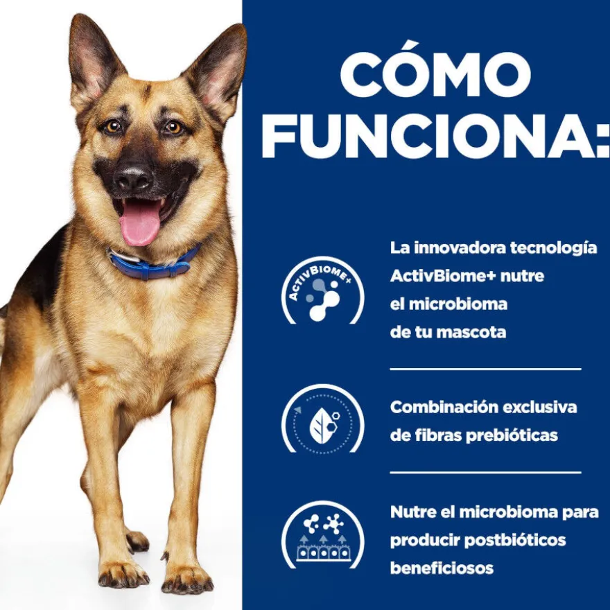 Hill's Prescription Diet Gastrointestinal Biome Frango ração para cães
