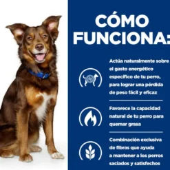 Hill's Prescription Diet Metabolic Lata de carne e vegetais para cães