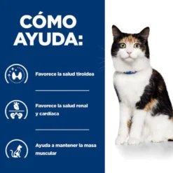 Hill's Prescription Diet Thyroid Care y/d ração para gatos