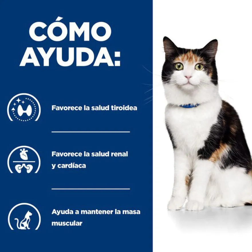 Hill's Prescription Diet Thyroid Care y/d ração para gatos