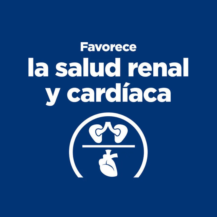 Hill's Prescription Diet Thyroid Care y/d ração para gatos