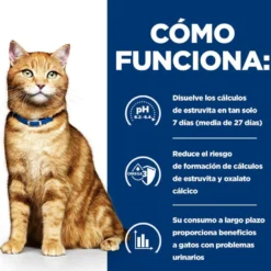 Hill's Prescription Diet Urinary Care c/d Frango em lata para gatos