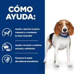 Hill's Prescription Diet Weight Loss r/d Frango ração para cães