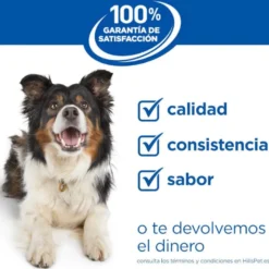 Hill's Science Plan Adult Medium Ração de cordeiro e arroz para cães de raças médias
