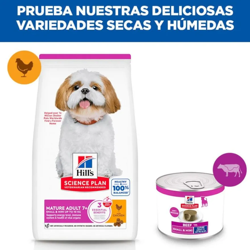 Hill's Science Plan Mature Adult Small y Mini Mousse de Vitela lata para cães
