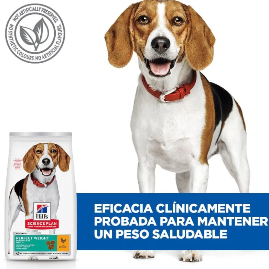Hill's Science Plan Perfect Weight Adult Medium Frango ração para cães