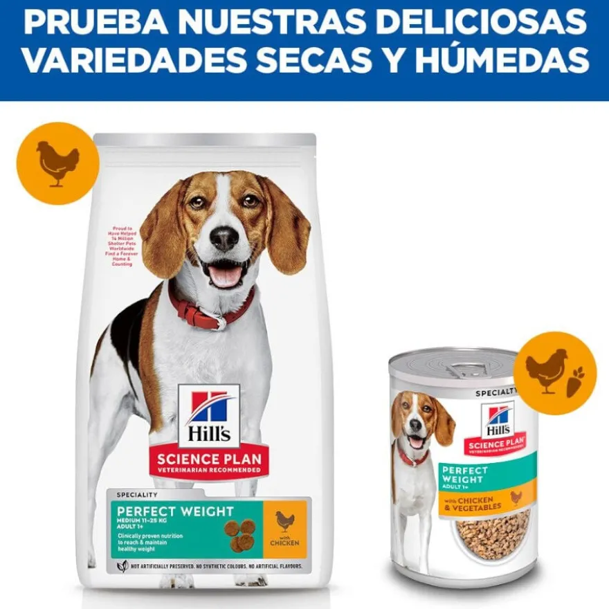 Hill's Science Plan Perfect Weight Adult Medium Frango ração para cães
