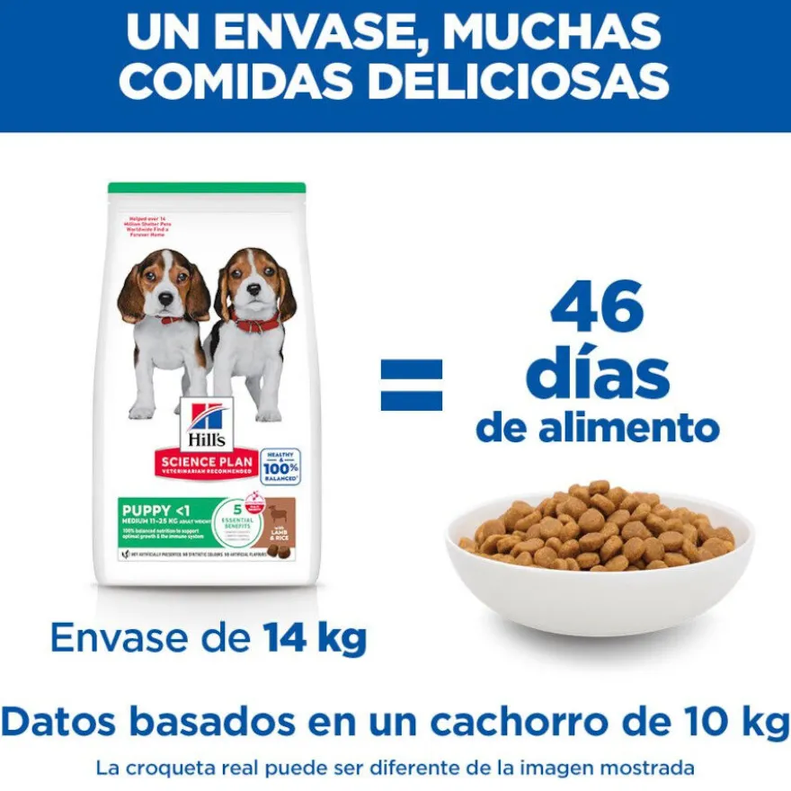 Hill's Science Plan Puppy Medium Ração de cordeiro e arroz para cães
