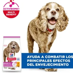 Hill's Science Plan Senior Small & Mini Ração para cães séniores de raças pequenas e mini