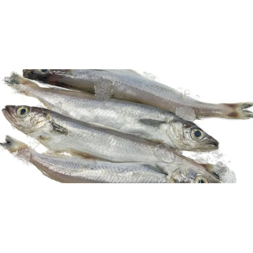 Hobbitalf Lírios para cães
