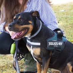Julius K-9 IDC Peitoral Verde para cães