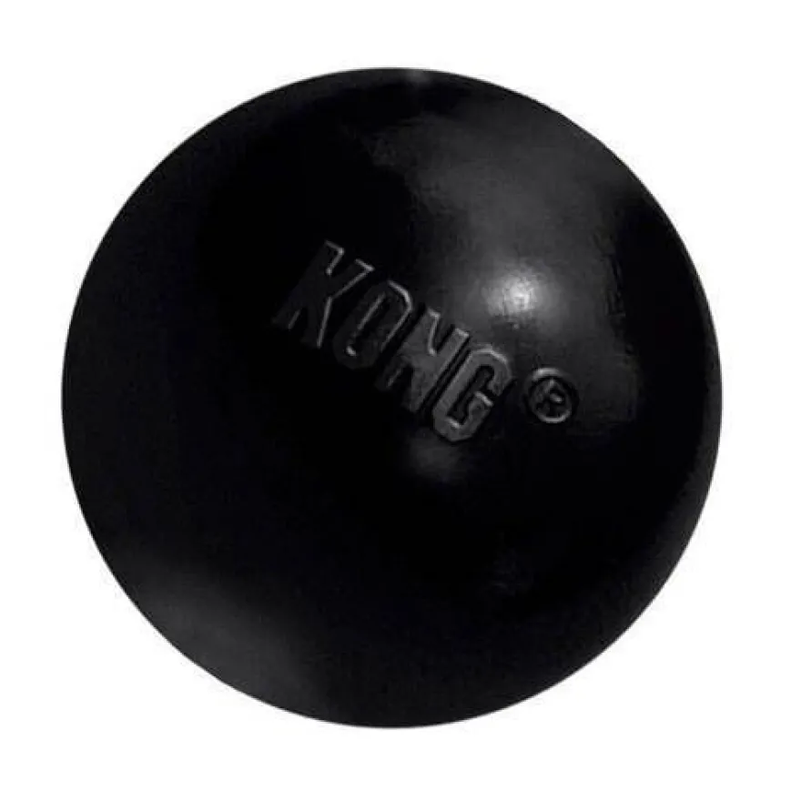 Kong Extreme bola para cães