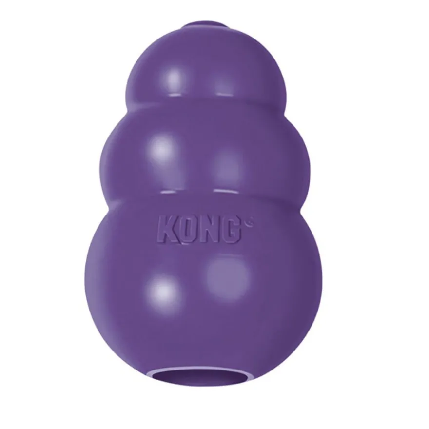 Kong Senior Mordedor para cães