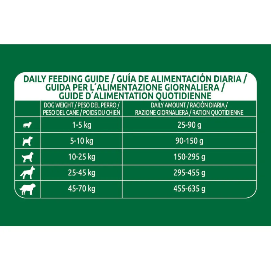 Libra Adult Salmão ração para cães