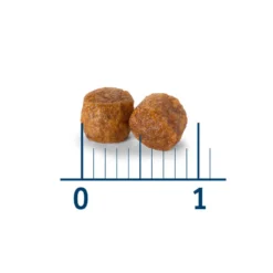 Nath Adult Frango e Arroz ração para gatos