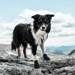 Non-stop dogwear Bota protetora preta e laranja para cães