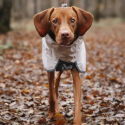 Non-stop Dogwear Capa de Chuva Impermeável Cinzenta para cães