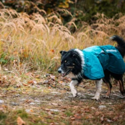 Non-stop Dogwear Capa de Chuva Impermeável Azul e Verde para cães