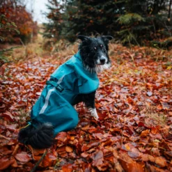 Non-stop Dogwear Capa de Chuva Impermeável Azul e Verde para cães