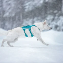 Non-stop Dogwear Peitoral Longo Azul e Verde para cães