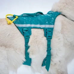 Non-stop Dogwear Peitoral Longo Azul e Verde para cães